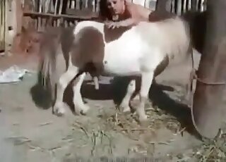 Kinky brunette takes a dick of a pony inside her mouth outdoors