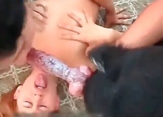 Two sluts are busy sucking hard cock of a dog and getting hot cum