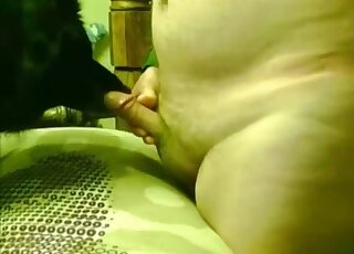 Chubby dude shows his penis to a very gay dog in a kinky porn movie