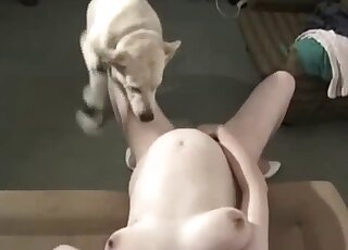 Incredible video that shows a flexible lady taking white dog's cock