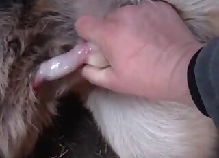 Dude gives this animal a nice handjob in a hot porno movie here