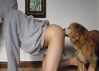Round-assed zoophile in a hoodie teasing a sexy dog with that ass