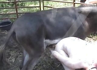 Pale dude bends over to take this pony's cock out in the open