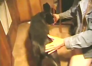 Dude is happy to fuck a black dog on the floor before enjoy orgasms
