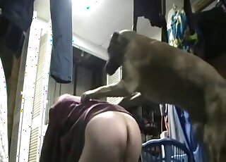 Shapely ass of a zoophile is exposed before doggystyle dog fucking