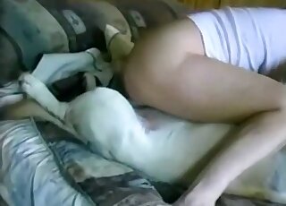 Awesome amateur porn movie with a shaved pussy girl riding dog cock