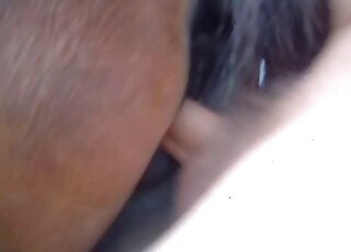 Mare pussy fucked violently by a guy with a stiff penis right here
