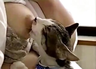 Kitty licking this lady's breasts because it has a breastfeeding kink