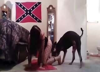 Doggysyle fuck with an American hottie that enjoys fucking beasts