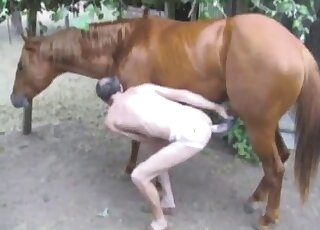 Awesome outdoor fuck movie with a pasty zoophile and a brown horse