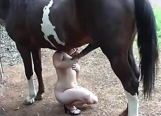 Horse porn movie showing a well-hung creature that fucks Latin tits
