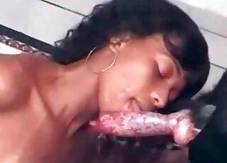 Ebony slut gladly performs blowjob to a dog during oral zoo porn scene
