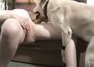 Sexy lady arching her back as she gets pounded by a sexy doggo