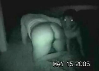Meaty booty zoophile is going to get fucked by a dog in the dark