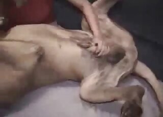 Sexy blondie dressed in red jerking dog's dick as it lays on its back