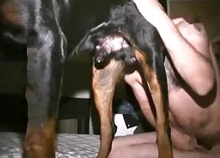 Guy fucks dog after licking its hot hole and sticking his dick inside
