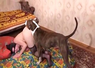 Fishnets-wearing Russian zoophile gets fucked by a sexy dog here