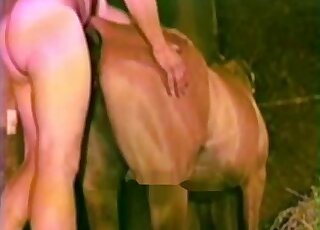 Guy with a pleasant booty is fucking brown animal's ass from behind