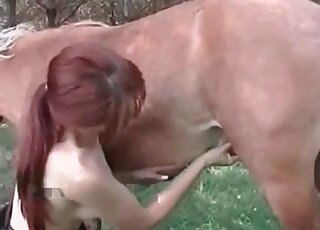 Aroused zoophile bitch plays with a massive schlong of a horse