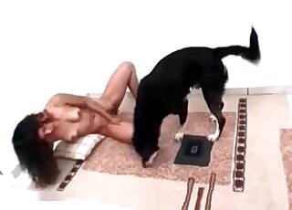 Black dog offers its hard shaft for a horny zoophile slut to get fucked