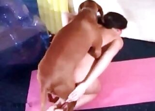 Hardcore fucking by a dog makes filthy zoophile babe moan