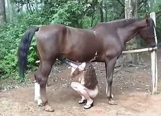 Curly-haired zoophile sucking on a stallion's huge cock outdoors