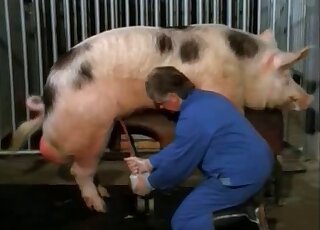 Dude using his handjob skills to keep this pig fully satisfied too