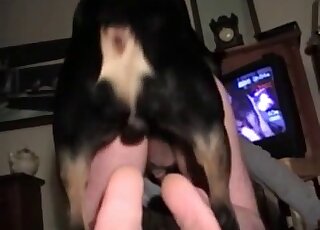 Exhaustive video record of this guy's hardcore doggystyle dog fuck ...