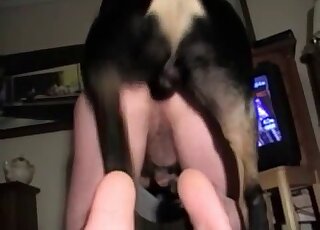 Exhaustive video record of this guy's hardcore doggystyle dog fuck