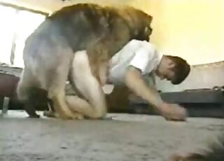 Amateur gay guy kneels for sex with giant dog before giving a blowjob