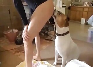 Dog wants to please his master by licking cock and ass before banging