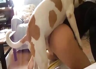 Dog combines ass licking and anal sex while alone with his master