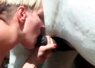 Short-haired bitch enjoys sucking white horses's large shaft
