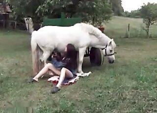 Agile brunette performs XXX zoo porn with a horse outdoors