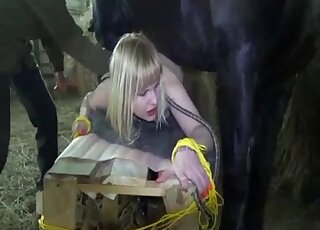 Blonde cougar gets rammed by massive horse cock for the first time