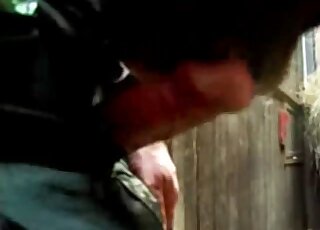 Amateur zoo porn - Dude lets hungry horse munch on his dick