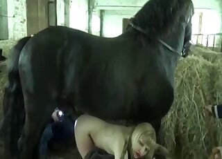 Blonde MILF goes under a giant black horse for the first time