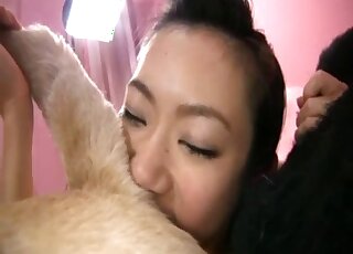 Asian girl licks dog ass before sucking off their cocks in zoo 3some