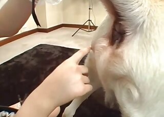 Kinky Japanese maid provides rimjobs to Labrador dogs in a zoo 3some