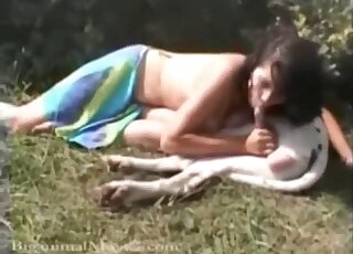 Big tits brunette is filmed sucking and fucking lazy dog outdoors