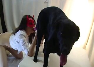 Thick black Labrador gets phenomenal blowjob from masked girl