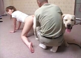 White Labrador provides Japanese teen girl with super stiff cock