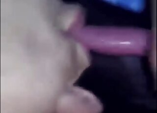 Low-quality amateur zoo sex porn of cute dog giving oral favor