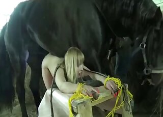 Blonde MILF bends over for getting rammed by massive horse cock