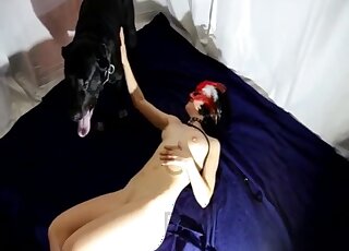 Black dog and masked hussy have zoo sex fun on the bed
