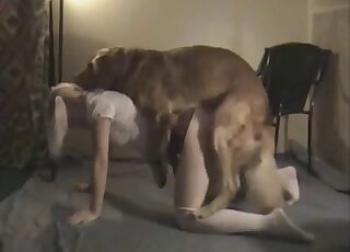 Labrador helps college blonde with pussy licking in amateur zoo porn