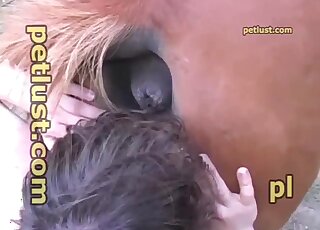 Horny stud licks and bangs gaping horse pussy on a farm