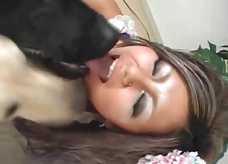 Hot Japanese MILF is licking the buttholes of two Labradors
