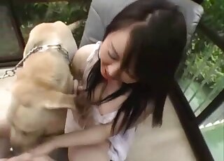 Young Korean girl exchanged licks and kisses with horny Labrador