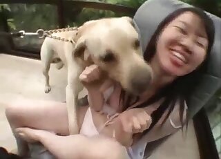 Young Korean girl exchanged licks and kisses with horny Labrador